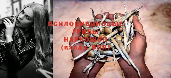 сатива Алексеевка