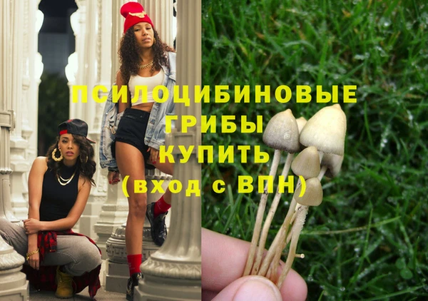 сатива Алексеевка