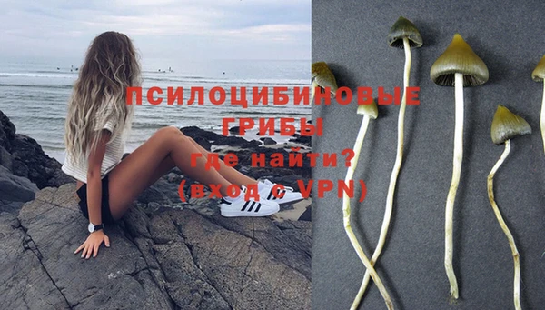 героин Алексин